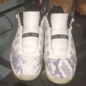 Jordan retro 11 snake skins